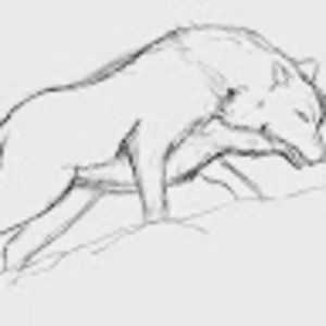 Meet your Posher, Joy